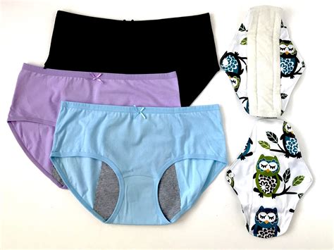 New 3 Pack Bamboo Skin-Friendly Absorbent Menstrual Period Panty Incontinence - Owl